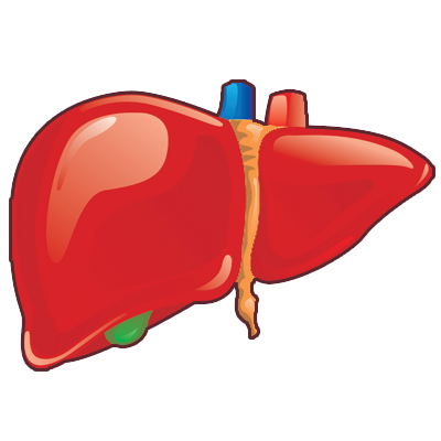 Liver Report Plugin